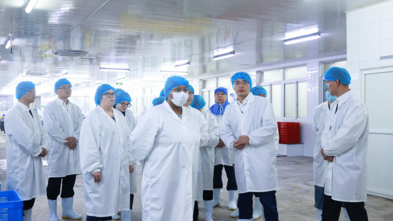 1734484931921790v0Lj.png 图片2.png